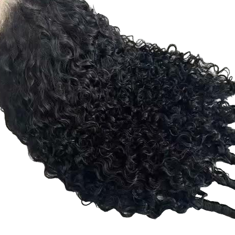 Burmese Curly (Frontal)