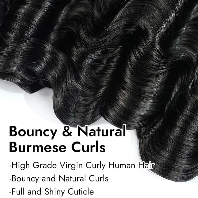 Burmese Deep Curly
