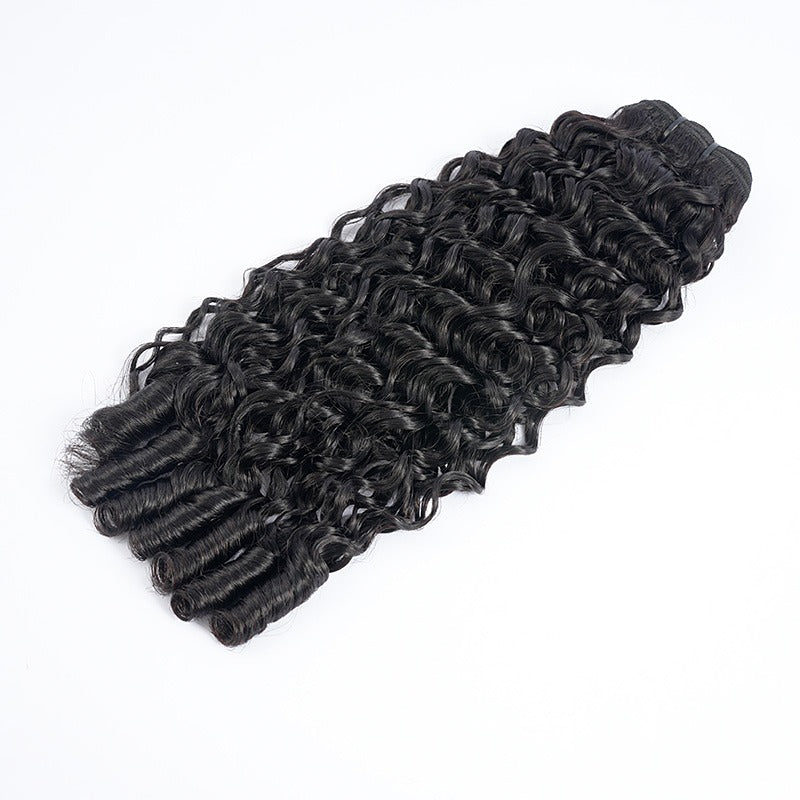 Burmese Curly