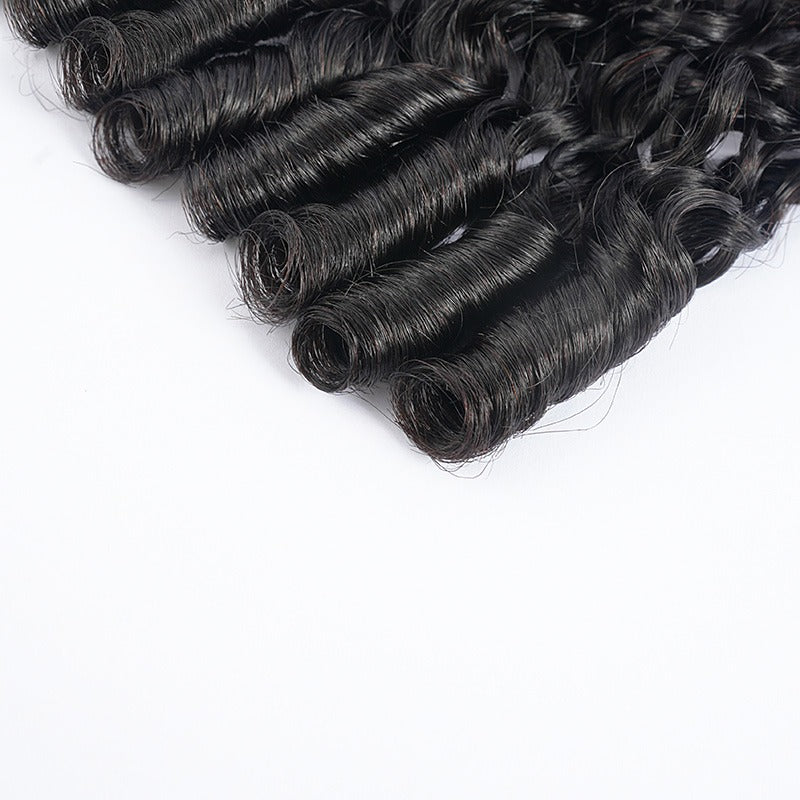 Burmese Curly