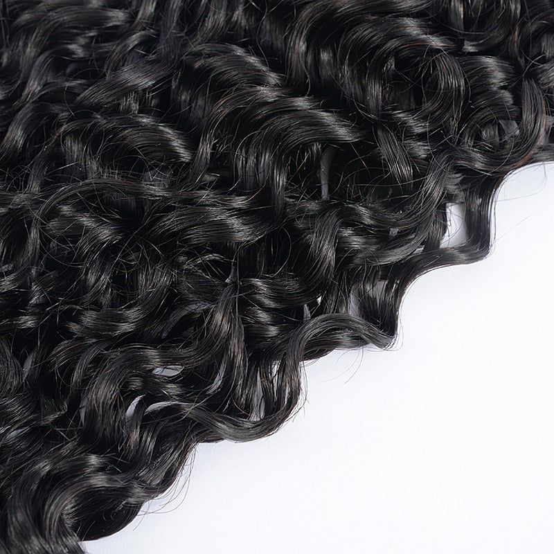 Burmese Curly