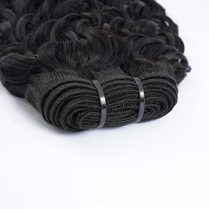 Burmese Curly