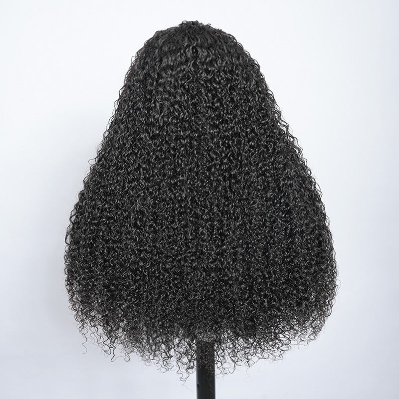 Curly Wig (Frontal)