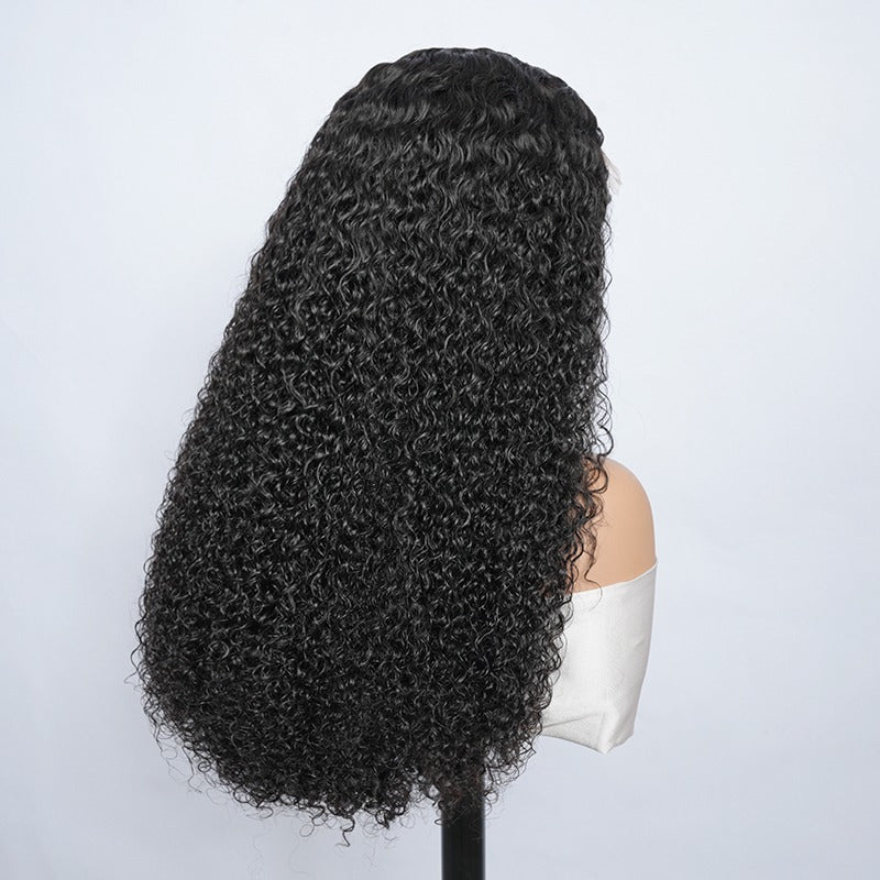 Curly Wig (Frontal)