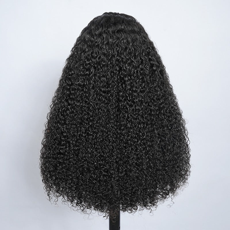 Curly Wig (Frontal)